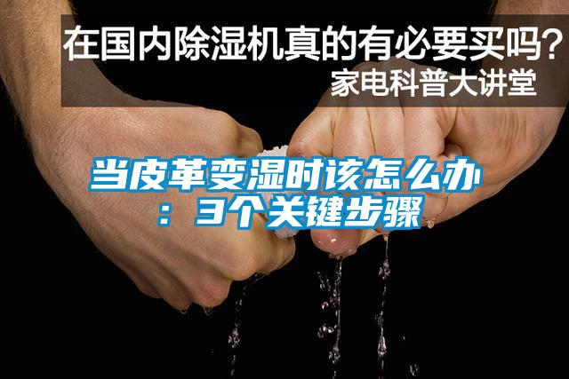 當皮革變濕時該怎麽辦：3個關鍵步驟