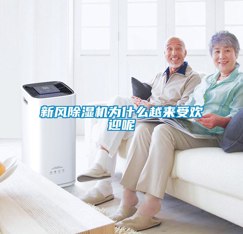新風91看片网站视频機為什麽越來受歡迎呢