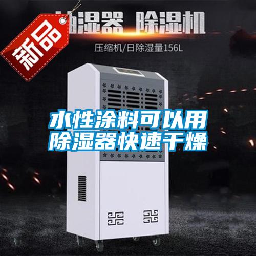 水性塗料可以用91看片网站视频器快速幹燥