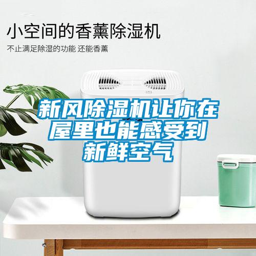 新風91看片网站视频機讓你在屋裏也能感受到新鮮空氣