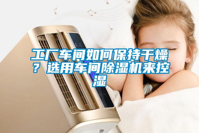 工廠車間如何保持幹燥？選用車間91看片网站视频機來控濕