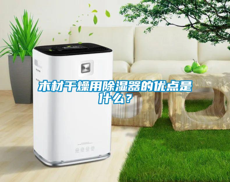 木材幹燥用91看片网站视频器的優點是什麽？
