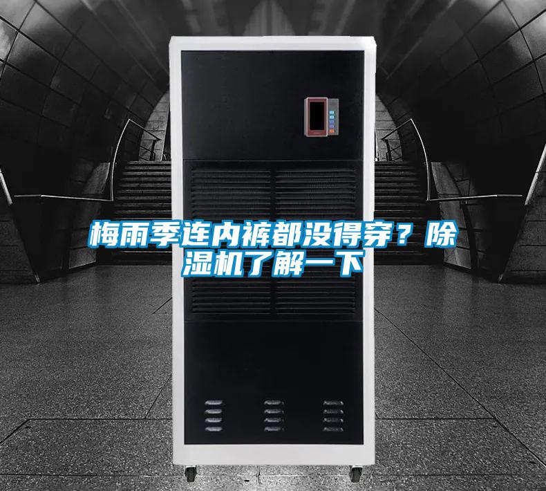 梅雨季連內褲都沒得穿？91看片网站视频機了解一下