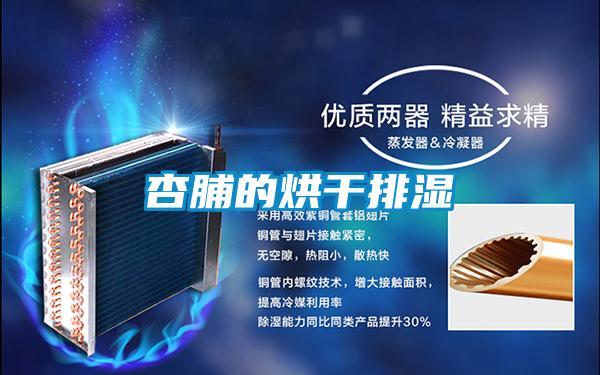 杏脯的烘幹排濕