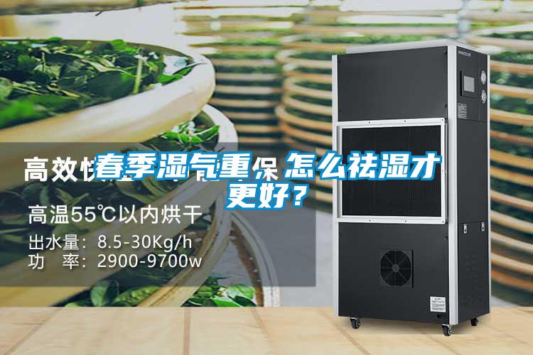 春季濕氣重，怎麽祛濕才更好？