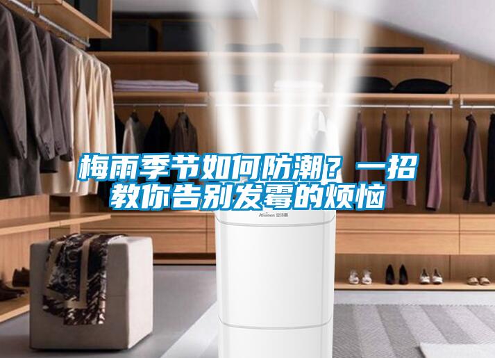 梅雨季節如何防潮？一招教你告別發黴的煩惱
