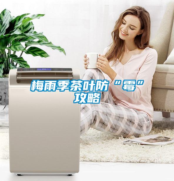梅雨季茶葉防“黴”攻略