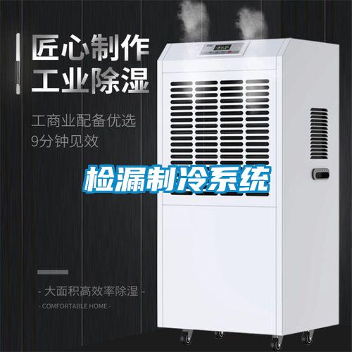 檢漏製冷係統