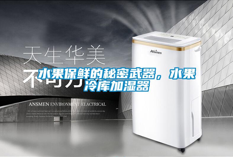 水果保鮮的秘密武器，水果冷庫加濕器