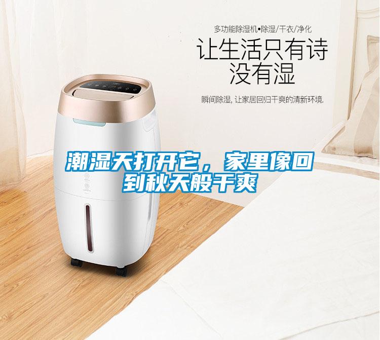 潮濕天打開它，家裏像回到秋天般幹爽