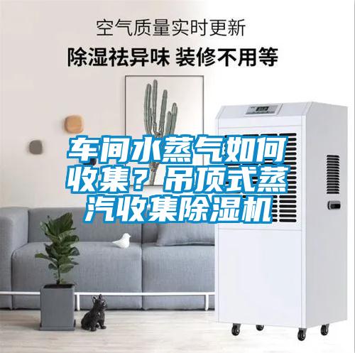 車間水蒸氣如何收集？吊頂式蒸汽收集91看片网站视频機