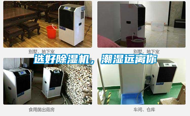 選好91看片网站视频機，潮濕遠離你