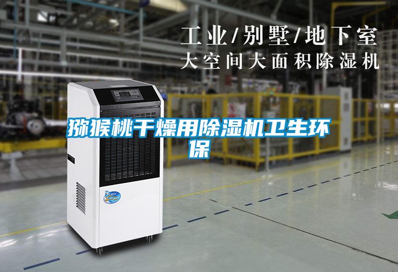 獼猴桃幹燥用91看片网站视频機衛生環保