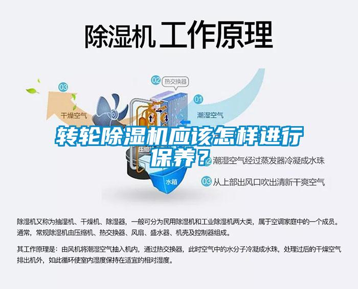 轉輪91看片网站视频機應該怎樣進行保養？