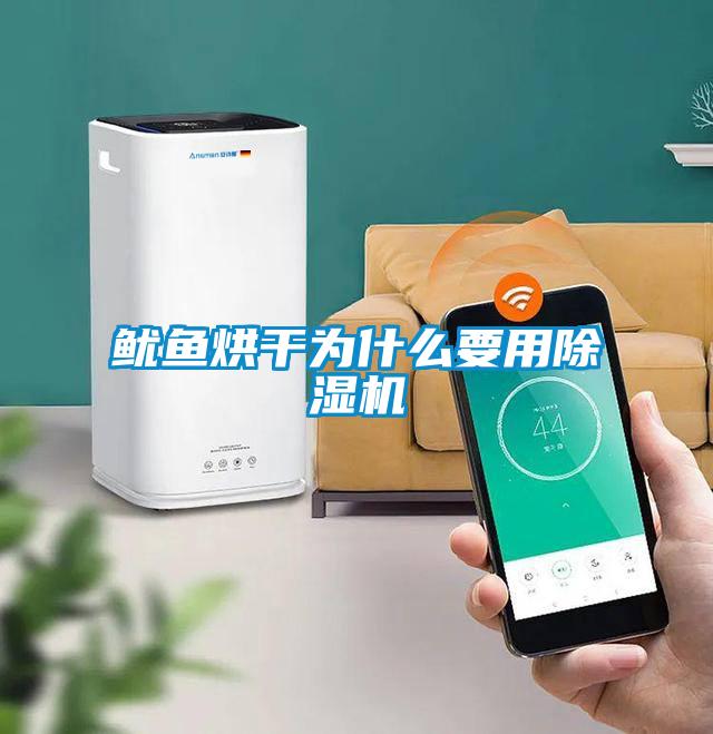 魷魚烘幹為什麽要用91看片网站视频機