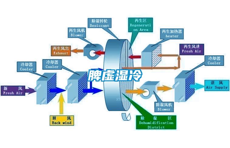 脾虛濕冷