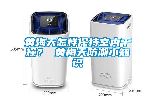黃梅天怎樣保持室內幹燥? 黃梅天防潮小知識