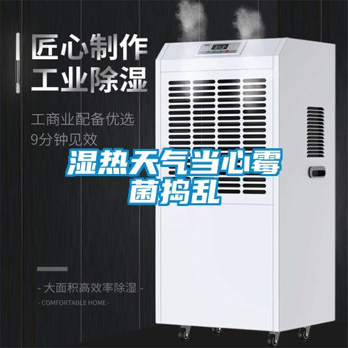 濕熱天氣當心黴菌搗亂