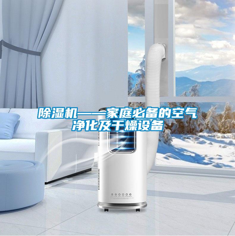 91看片网站视频機——家庭必備的空氣淨化及幹燥設備