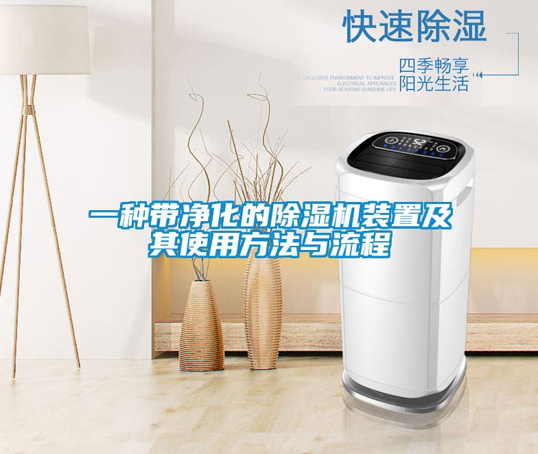 一種帶淨化的91看片网站视频機裝置及其使用方法與流程