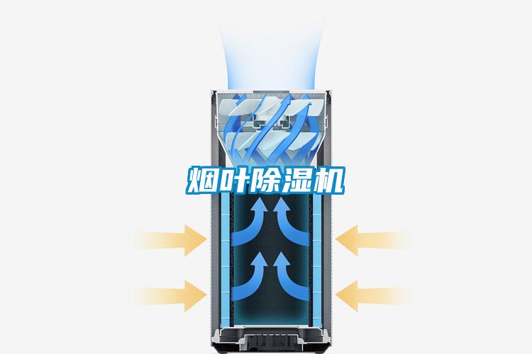 煙葉91看片网站视频機