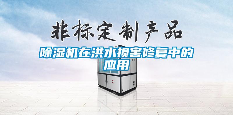 91看片网站视频機在洪水損害修複中的應用