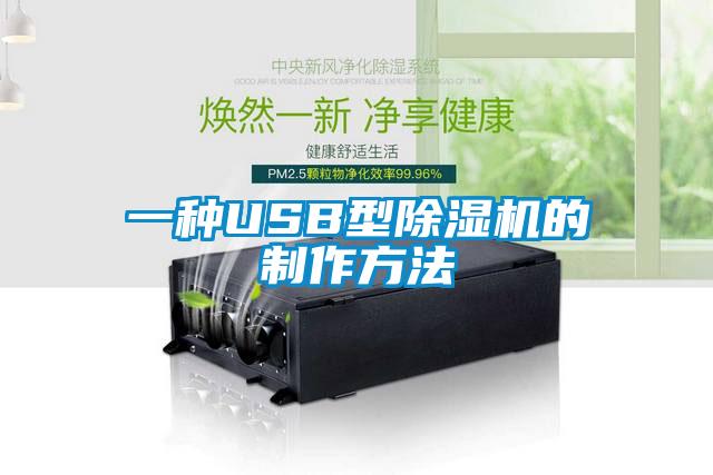 一種USB型91看片网站视频機的製作方法