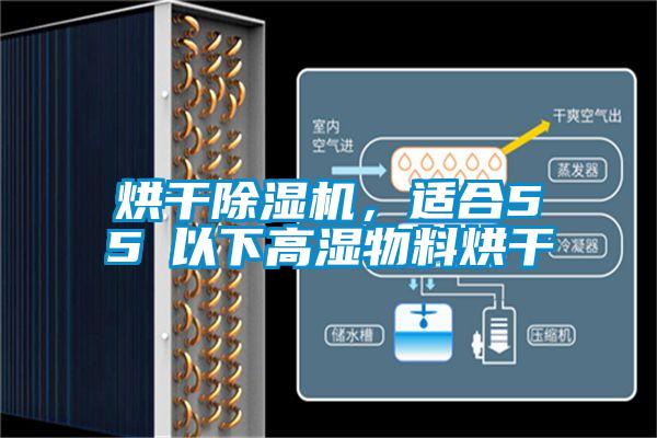 烘幹91看片网站视频機，適合55℃以下高濕物料烘幹