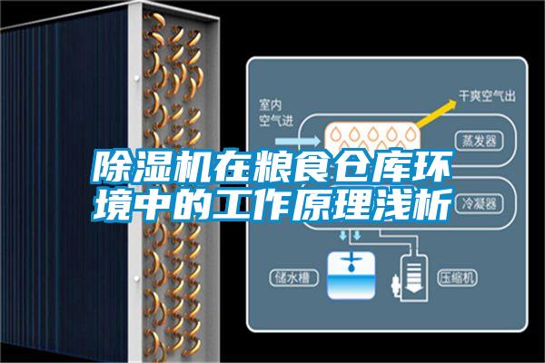 91看片网站视频機在糧食倉庫環境中的工作原理淺析
