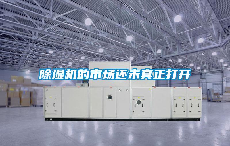 91看片网站视频機的市場還未真正打開