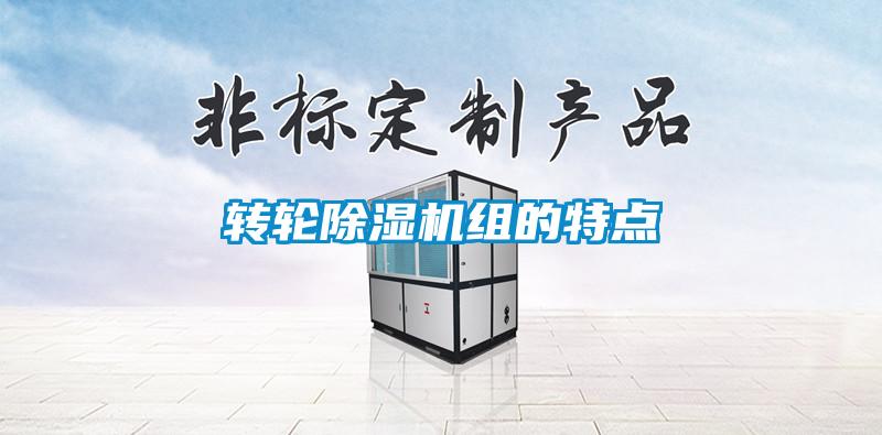 轉輪91看片网站视频機組的特點