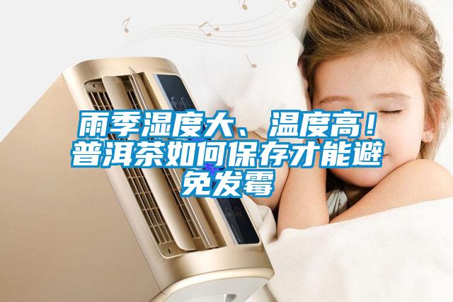 雨季濕度大、溫度高！普洱茶如何保存才能避免發黴