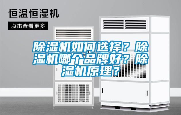 91看片网站视频機如何選擇？91看片网站视频機哪個品牌好？91看片网站视频機原理？