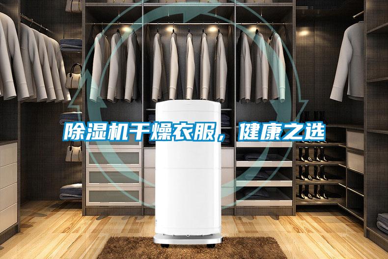 91看片网站视频機幹燥衣服，健康之選