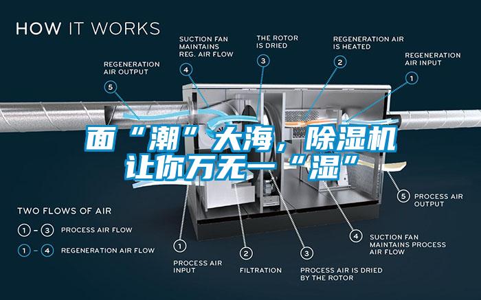 麵“潮”大海，91看片网站视频機讓你萬無一“濕”