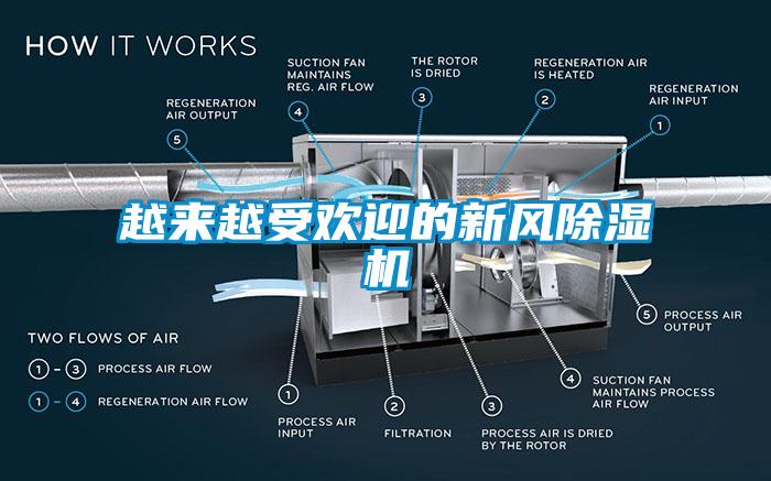 越來越受歡迎的新風91看片网站视频機