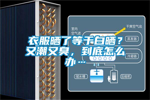 衣服曬了等於白曬？又潮又臭，到底怎麽辦…