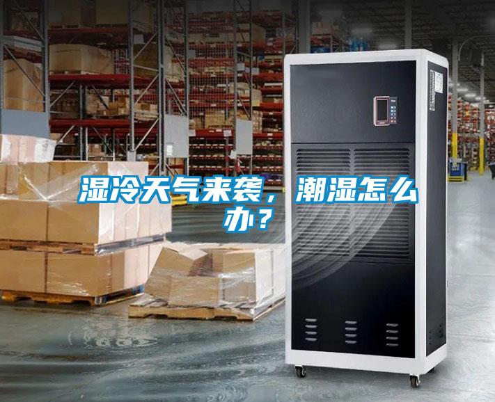 濕冷天氣來襲，潮濕怎麽辦？