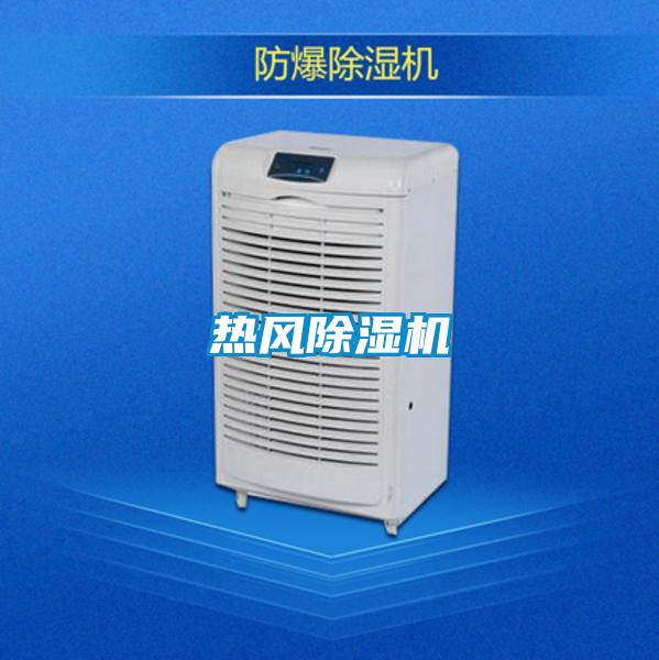 熱風91看片网站视频機