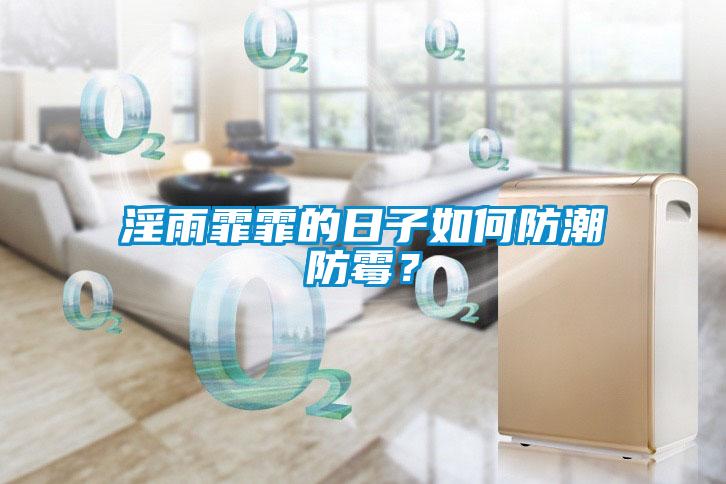 淫雨霏霏的日子如何防潮防黴？