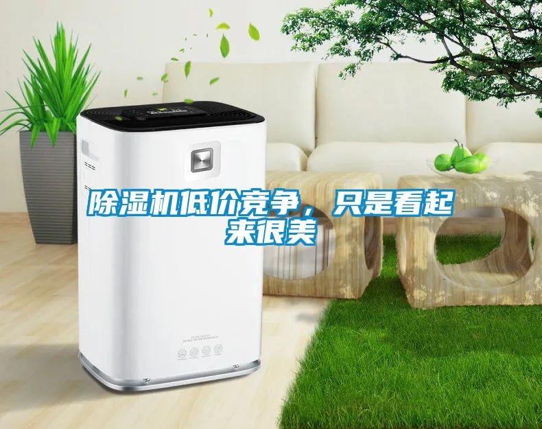 91看片网站视频機低價競爭，隻是看起來很美