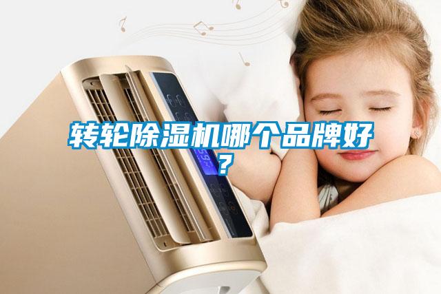 轉輪91看片网站视频機哪個品牌好？