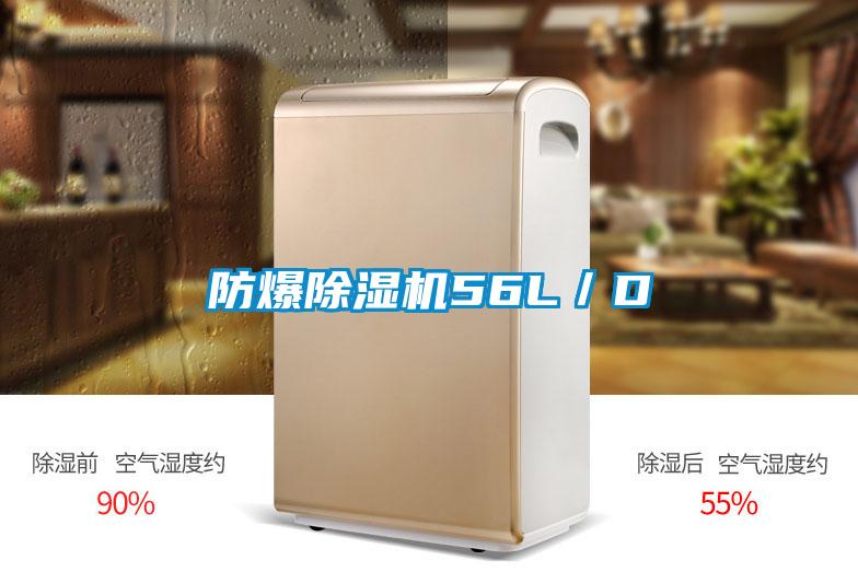 防爆91看片网站视频機56L/D