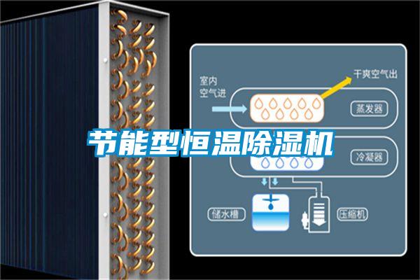 節能型恒溫91看片网站视频機
