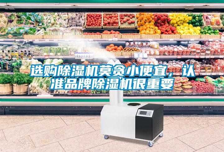 選購91看片网站视频機莫貪小便宜，認準品牌91看片网站视频機很重要
