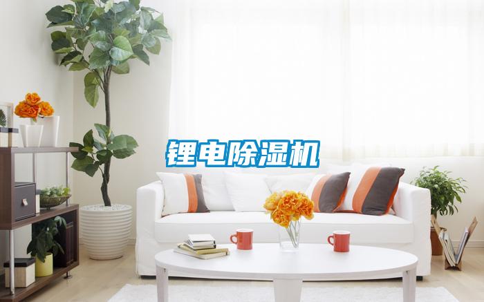 鋰電91看片网站视频機