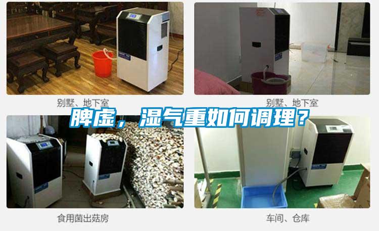 脾虛，濕氣重如何調理？