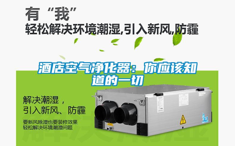 酒店空氣淨化器：你應該知道的一切