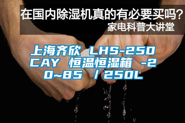 上海齊欣 LHS-250CAY 恒溫恒濕箱 -20~85℃／250L