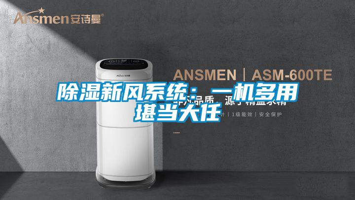 91看片网站视频新風係統：一機多用堪當大任